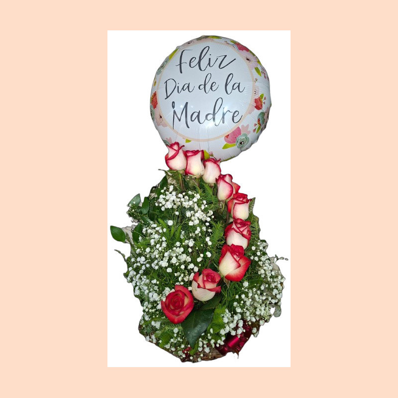 Caracol 9 Rosas  ( Color de rosas según disponibilidad)