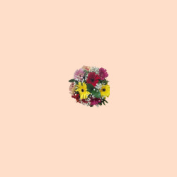 Ramo De 10 Gerberas