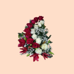 Caracol de Rosas doble