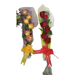 Caja de 6 Rosas