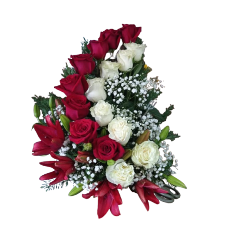 Caracol de Rosas doble
