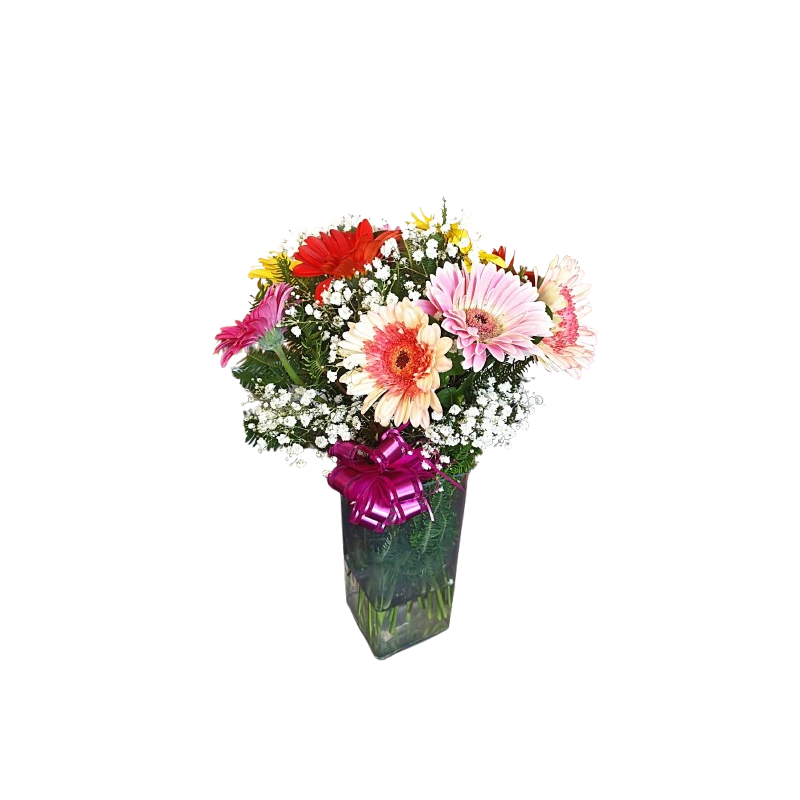 Florero De 10 Gerberas Florero De 10 Gerberas