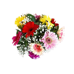 Florero De 10 Gerberas