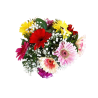 Florero De 10 Gerberas