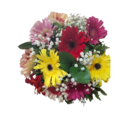 Ramo De 10 Gerberas