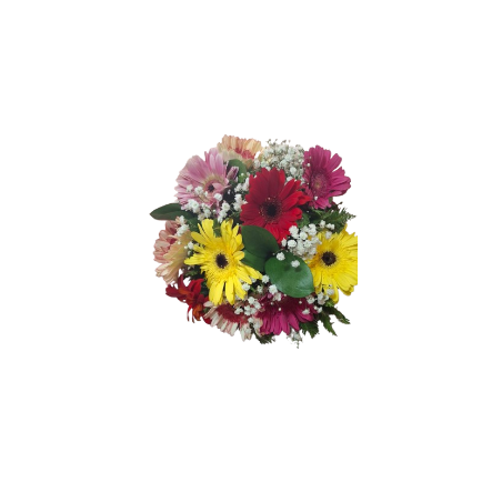 Ramo De 10 Gerberas