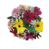 Ramo De 10 Gerberas