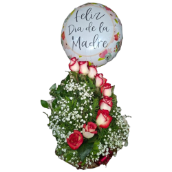 Caracol 9 Rosas  ( Color de rosas según disponibilidad)