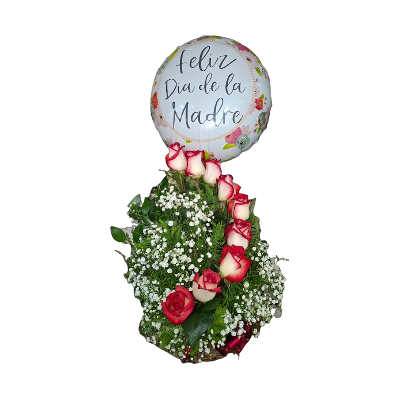 Caracol 9 Rosas  ( Color de rosas según disponibilidad)