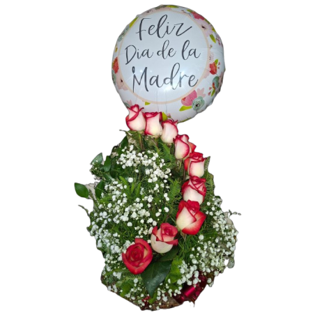 Caracol 9 Rosas  ( Color de rosas según disponibilidad)